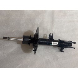 Amortisseur arrière gauche - BYD - 17058419-00