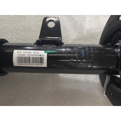 Amortisseur arrière droit - BYD - 17058418-00