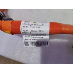 Faisceau de câblage haute tension bus DC - BYD - 17054763-00