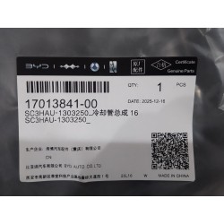 Conduite de liquide de refroidissement 16 - BYD - 17013841-00