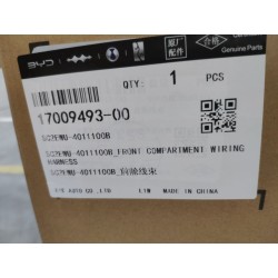 Faisceau de câblage de compartiment moteur avant - BYD - 17009493-00