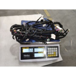 Faisceau de câblage de pavillon - BYD - 17009477-00