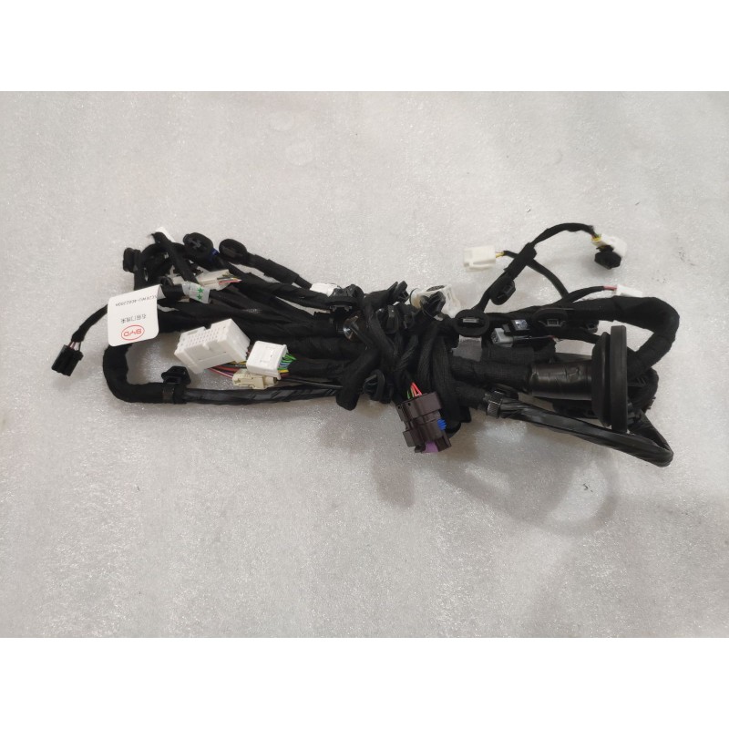 Faisceau de câblage de porte avant droite - BYD - 17009470-00