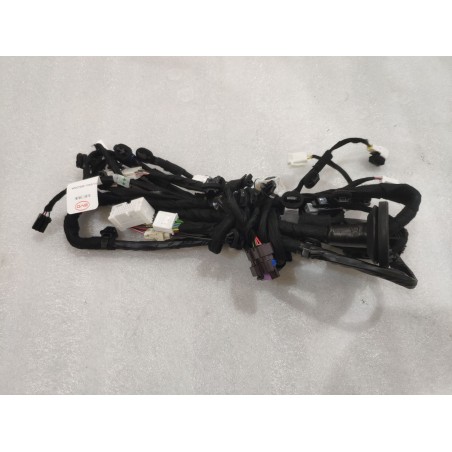 Faisceau de câblage de porte avant droite - BYD - 17009470-00