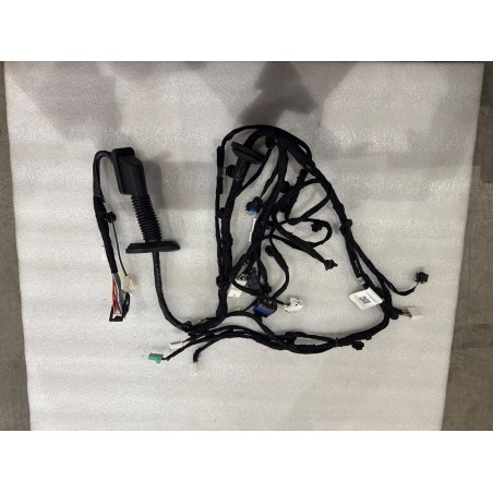 Faisceau de câblage de porte avant gauche - BYD - 17009467-00
