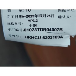 Vitre de porte arrière droite - BYD - 16981386-00