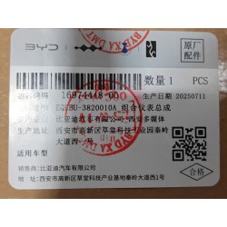 Combiné d'instrumentation - BYD - 16974448-00