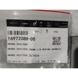 Faisceau de câblage de couvercle de coffre - BYD - 16972088-00