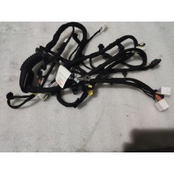 Faisceau de câblage de couvercle de coffre - BYD - 16972086-00