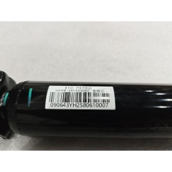 Amortisseur arrière - BYD - 16961233-00
