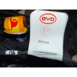 Faisceau de câblage du compartiment avant - BYD - 16960256-00