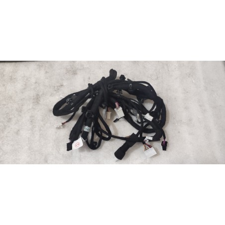 Faisceau de câblage de toit - BYD - 16960234-00