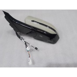 Rétroviseur extérieur gauche - BYD - 16923081-00