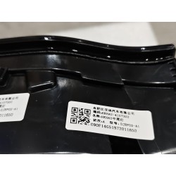 Middle taillight - BYD - 16903909-00