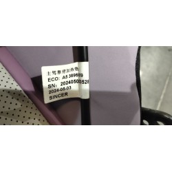 Dossier de siège conducteur-rose - BYD - 16886716-00