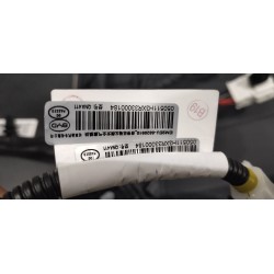 Dossier de siège conducteur-rose - BYD - 16886716-00