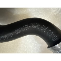 Conduite d'huile de refroidissement 1 - BYD - 16845923-00