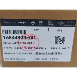 Plafonnier avant - Noir foncé 5 - BYD - 16844803-00