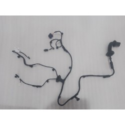 Faisceau de câblage de porte arrière gauche - BYD - 16841463-00