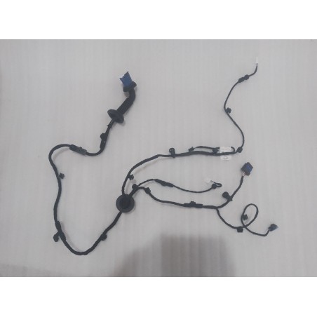Faisceau de câblage de porte arrière droite - BYD - 16841440-00