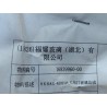 Glace de porte arrière droite - BYD - 16839960-00
