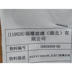 Vitrage de porte arrière gauche - BYD - 16839959-00