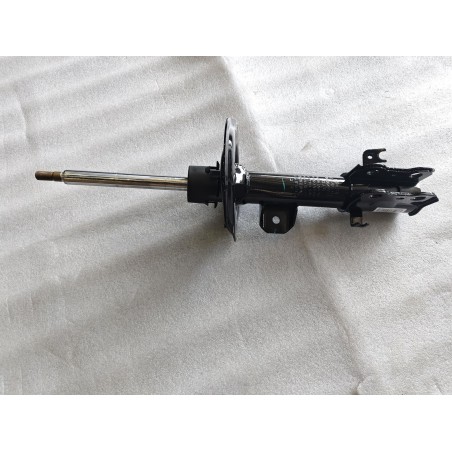 Amortisseur avant droit - BYD - 16839050-00
