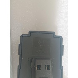 Bloc interrupteurs lève-vitre arrière - gris mat - BYD - 16819065-00