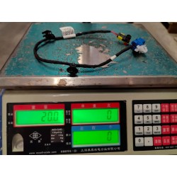 Faisceau de câblage PLP conducteur - BYD - 16814362-00