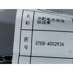 Faisceau de raccordement chargeur/distributeur 2 - BYD - 13076079-00