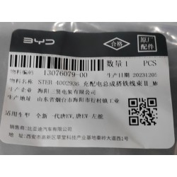 Faisceau de raccordement chargeur/distributeur 2 - BYD - 13076079-00