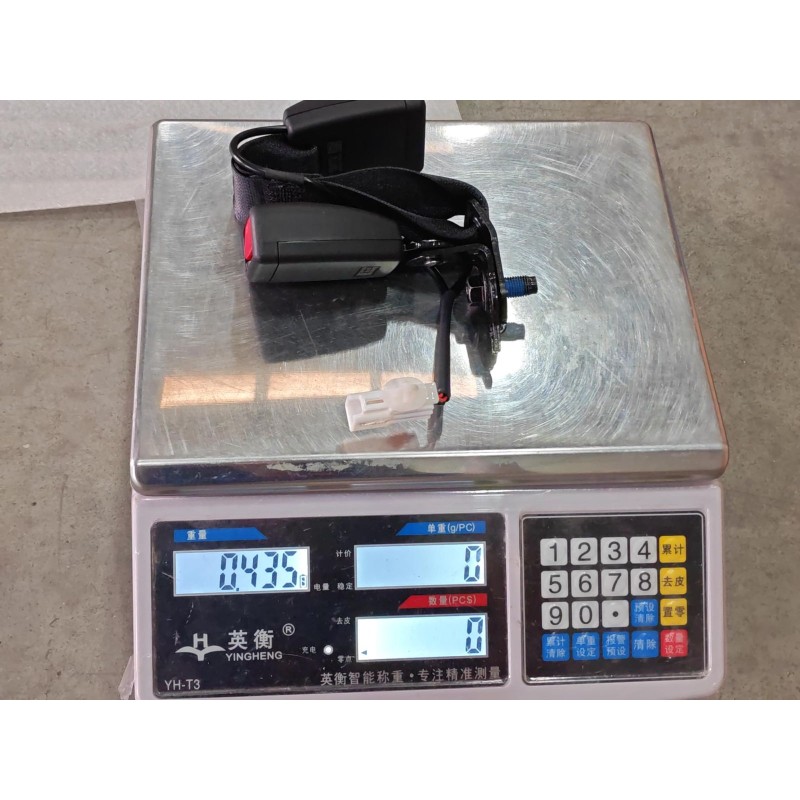 Boucle de ceinture de sécurité arrière droite - BYD - 16770546-00