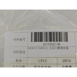 Joint d'encadrement de porte arrière gauche - BYD - 16770527-00