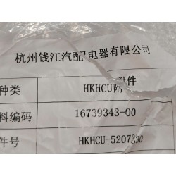 Sous-ensemble conduite de lave-glace arrière 3 - BYD - 16739343-00