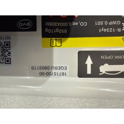 Étiquette véhicule - BYD - 16715700-00