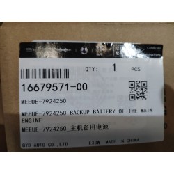 Batterie de secours du moteur principal - BYD - 16679571-00