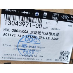 Grille d'admission d'air active - BYD - 13043971-00