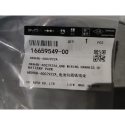 Faisceau de câblage de masse du bloc batterie - BYD - 16659549-00