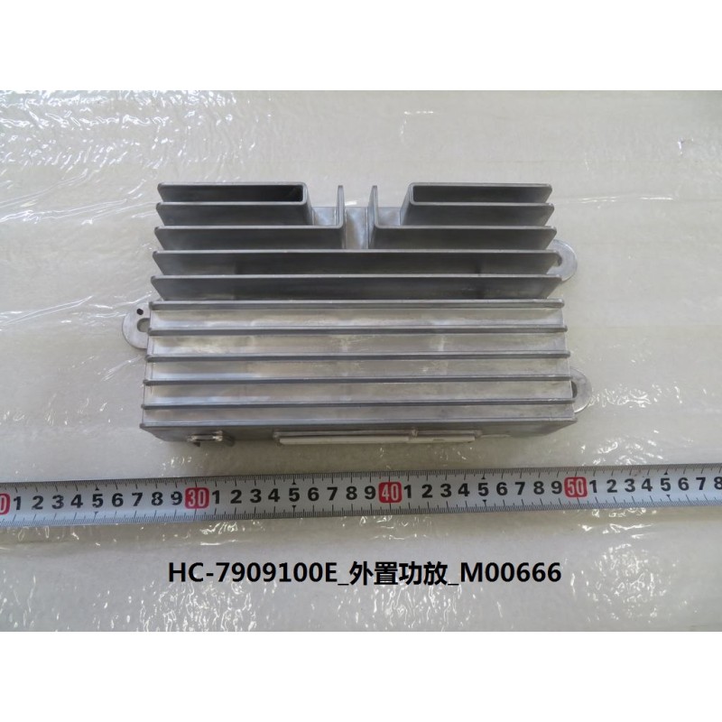 Amplificateur externe - BYD - 13025698-00