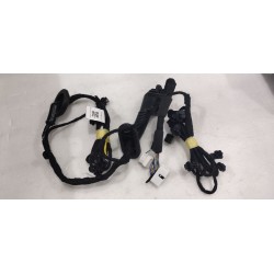 Faisceau de câblage de porte avant droite - BYD - 16659102-00