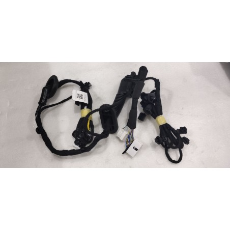 Faisceau de câblage de porte avant droite - BYD - 16659102-00