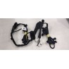 Faisceau de câblage de porte avant droite - BYD - 16659102-00