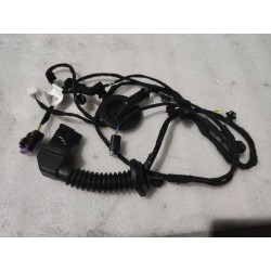 Faisceau de câblage de porte arrière droite - BYD - 16659100-00