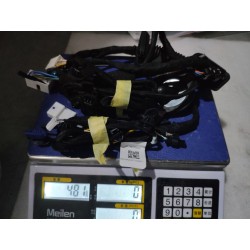 Faisceau de câblage de porte avant droite - BYD - 16659062-00