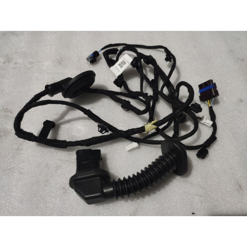 Faisceau de câblage de porte arrière droite - BYD - 16659059-00
