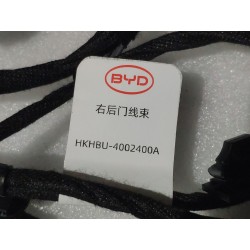 Faisceau de câblage de porte arrière droite - BYD - 16659059-00
