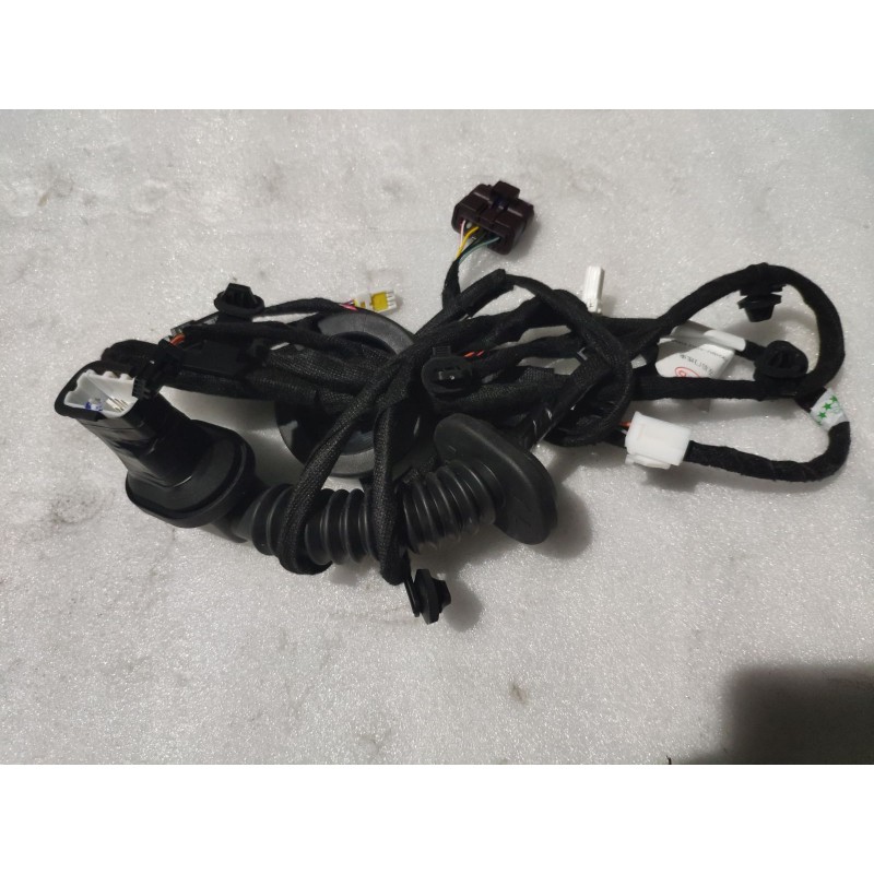 Faisceau de câblage de porte arrière gauche - BYD - 16659058-00