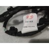 Faisceau de câblage de porte arrière gauche - BYD - 16659058-00