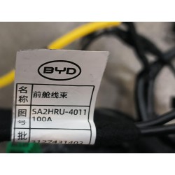 Faisceau de câblage de compartiment avant - BYD - 16656552-00