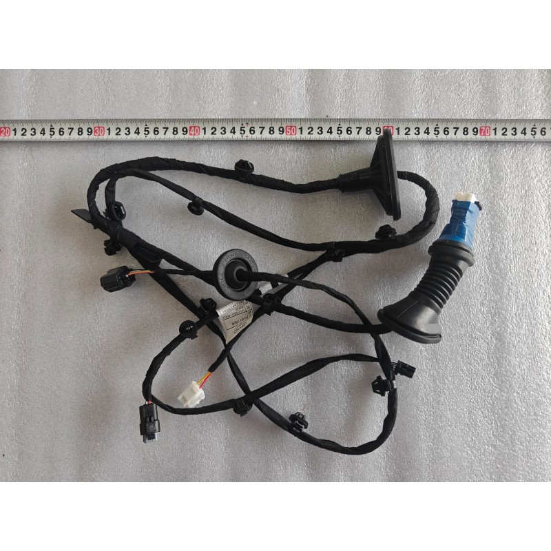 REAR RIGHT DOOR WIRING HARNESS - Faisceau de câblage de porte arrière droite - BYD - 16654979-00
